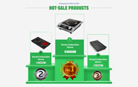 Placa de Inducción Portátil Impermeable de 110V/220V y 1999W con Panel Táctil para Uso en Cocina y Encimera