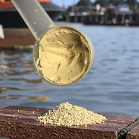 Souches de Bacillus Santé intestinale à haute teneur en nucléotides et défense des agents pathogènes Additifs de levure pour l'aquaculture porcine Rumiante