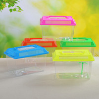 Aquarium portable en plastique transparent, petit aquarium de voyage, habitat pour tortues, design moderne et mini