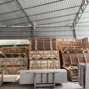 High Quality Snow Asian Tiger White <strong>Granite</strong> <strong>Slab</strong> for Kitchen Countertops(Gray) - Product Image 6