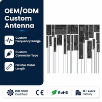 Antena FPC Personalizada con Adhesivo, Ganancia de 6 DBI, Conectores Opcionales, Longitudes de Cable Disponibles, Compatible con 5G, 4G, 2.4G, 5.8G, WiFi, LoRa