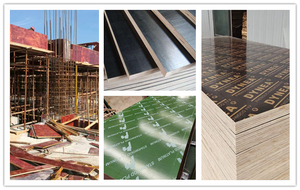 خشب رقائقي بني للبناء 12 مم 15 مم 18 مم خشب رقائقي مغطى بطبقة بلاستيكية خضراء من البولي بروبيلين للبناء 4×8 - Product Image 4