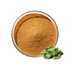 Complément alimentaire Extrait <span class=keywords><strong>de</strong></span> feuille <span class=keywords><strong>de</strong></span> <span class=keywords><strong>Ginkgo</strong></span> <span class=keywords><strong>Biloba</strong></span> 24% Flavones Poudre d'extrait <span class=keywords><strong>de</strong></span> <span class=keywords><strong>Ginkgo</strong></span> <span class=keywords><strong>Biloba</strong></span> - Product Image 1