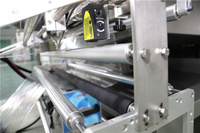 Automatische Horizontale Verse Groenten Fruit Verpakking Machine Leverancier