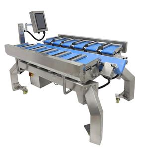 버섯, 냉동 생선, 채소용 결합형 스케일 벨트 계량기 계수기 - Product Image 3