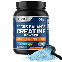 Poudre de créatine ISO à action rapide, équilibrée, avec Ashwagandha, certifiée végétalienne pour adultes, sans caféine, antioxydante, MOQ flexible, personnalisable
