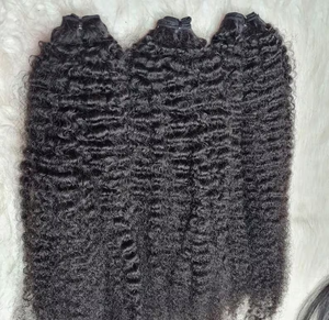 Extensions de cheveux humains bruts bouclés birmans, doux, brésiliens, type Kinky Wick Curls, non traités, 100% vierges, lots de cheveux 4C - Product Image 1