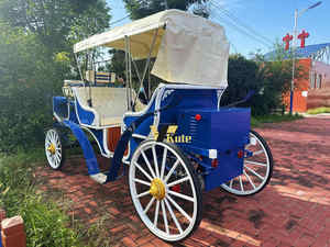 Magnifique chariot de mariage pour votre jour de mariage, transport à chevaux époustouflant, décoration de réception unique - Product Image 2