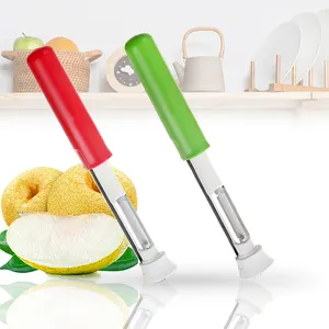 Gadgets de cuisine Outils en acier inoxydable 2 in1 Éplucheur de pomme, fruit, poire, décapant de graines de fruits