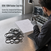 Kit Seal Karet O-Ring Silikon FKM NBR Kustom Tahan Suhu Tinggi dan Minyak, Produsen OEM