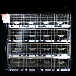 Güvercin kafesleri <span class=keywords><strong>3</strong></span> katlı kuş kafesi güvercin eğitimi kafesi güvercin üreme kafesi kümesi - Product Image 2