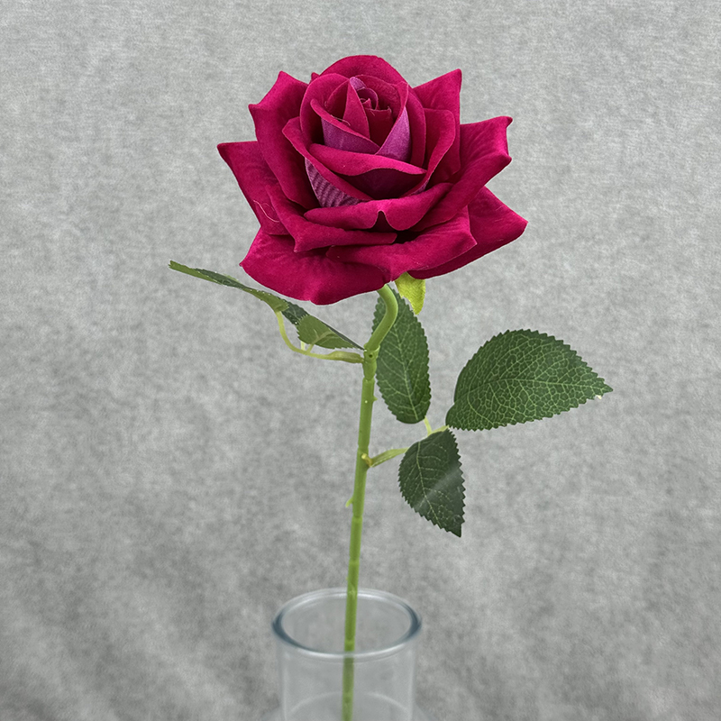 Rose Red
