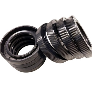 FBK Chất Lượng Cao Tùy Chỉnh Tg Loại Kích Thước Nhỏ 15*24*4 Duy Nhất Lip Con Dấu Dầu NBR Cao Su Cho Con Dấu Khác Nhau - Product Image 1