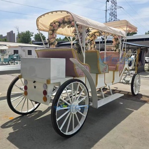 Hot Selling Electric Horse Wagon Princess Wedding Horse Carriage Wholesale Sightseeing Flower Carriage for Sale - Product Image 1