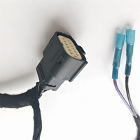 Kabel Konektor Tahan Air Molex 33482 33472 Dua Baris 12p dengan Kawat Tembaga Fleksibel Tinggi, Kabel Harness Mobil Kustom OEM