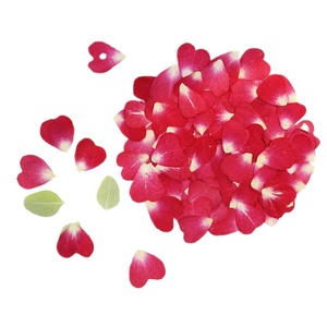 20pcs/bag Real <strong>Dried</strong> Pressed Flower China Rose <strong>Petal</strong> for Nail Art DIY Craft - Product Image 3