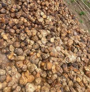 High Quality Vietnam Natural Rubber Raw Material Bale Molding Grade for Automotive & <b>Home</b> <b>Appliance</b> Components - Product Image 2