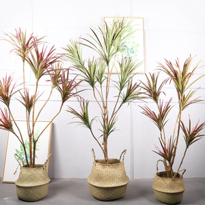 Cycad Artificiale Stile Instagram, Grande Bonsai da Pavimento con Foglie Rosse, Decorazione Imitazione Cactus - Product Image 1