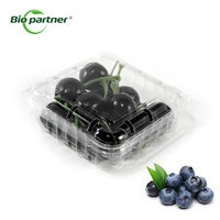 Barquettes jetables à charnière pour cerises et myrtilles, boîtes à fruits en plastique PET ventilées, emballages pour fraises