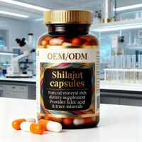 Capsules de Résine de Shilajit Pur – Soutien Énergétique et d'Endurance – Supplément de Shilajit en Vrac – Certifié GMP ISO – Riche en Acide Fulvique – Adaptogène – Vitalité – OEM