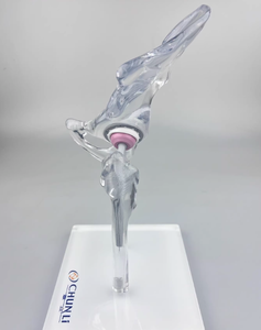 Modelo de Enseñanza Médica de Articulación de Cadera Artificial, Modelo de Entrenamiento Transparente de Alta Calidad - Product Image 2
