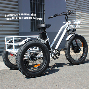 Tricycle adulte 500W à 3 roues, grande capacité, E-Trike écologique pour adultes, stabilité de conduite ultime, tricycle à trois roues S - Product Image 1