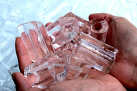 Fabricante de hielo industrial de tubo de 10 toneladas 110V 1000kg Capacidad de almacenamiento de hielo Características Motor de bomba Bristol para fábricas Supermercados