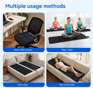 Dispositivo de Terapia Magnética con Tapete PEMF Especializado para Alivio del Dolor de Fibromialgia en Caballos y Terapia de Curación del Síndrome - Product Image 6