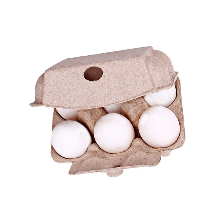 6 Egg Packaging biodegradable Paper Pulp Egg Box Carton