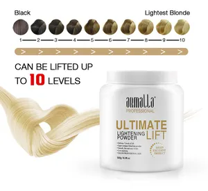 Armalla Professional Salon Bulk Colored Hair Dye Styling Product White Blue Level UP 9 Hair Bleach Powder And Developer