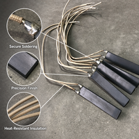 Allumeur de poêle à granulés en céramique de nitrure de silicium 110V 120V 220V 240V 400-650W pour brûleur à paille