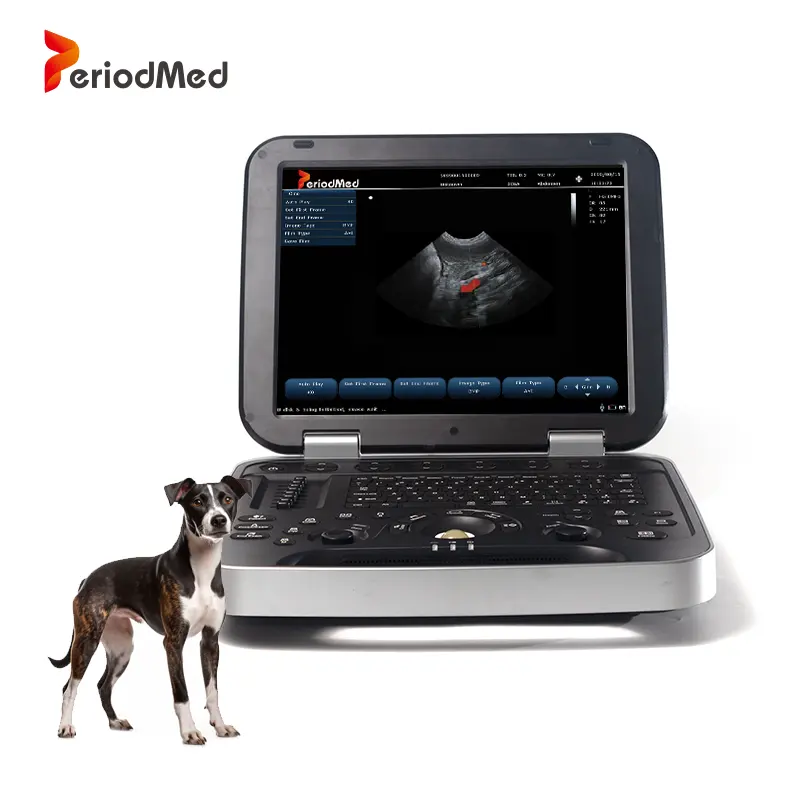 Periodmed pet hospital para pequenos animais cão gato cor doppler ultra-som para veterinário máquina