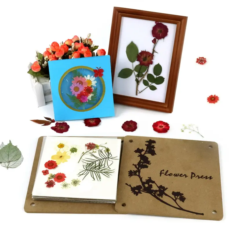 Wholesale Children's Flower Press and Art DIY Wooden Flower Press