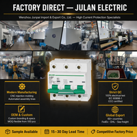 Interruptor Automático Miniatura (MCB) JLB67-125 de Alta Capacidad de Ruptura, 1P 2P 3P 4P, 10A-125A, 230/400V, 10kA, para Riel DIN, IEC60898