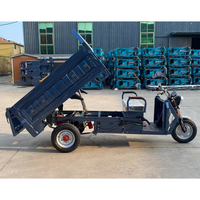 Triciclo de Carga Eléctrico Personalizado de Tres Ruedas con Carrocería Abierta, Motor sin Escobillas, Frenos de Disco Delanteros/Freno de Tambor Trasero, Capacidad de Carga de 100-200 kg, Alcance de 90 km
