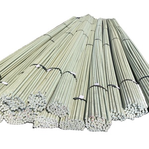 Chemlead Composite <span class=keywords><strong>FRP</strong></span> <span class=keywords><strong>Rebar</strong></span> Fiberglass <span class=keywords><strong>Rebar</strong></span> untuk Konstruksi - Product Image 1