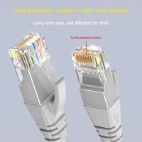 Câble réseau RJ45 Cat5 en PVC W183 personnalisé en usine, 1m-10m, paire torsadée 8 conducteurs, 100 Mbps