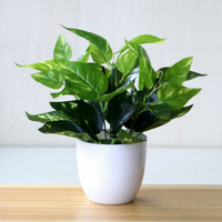 Tanaman Pot Bunga Eucalyptus Plastik Hijau Bonsai Buatan 25cm Dekorasi Rumah Kamar Tidur Taman Perlengkapan Dekorasi Thanksgiving