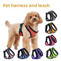 Harnais de traction pour chien et chat en nylon anti-explosion, sangle de poitrine, fournitures d'extérieur en gros