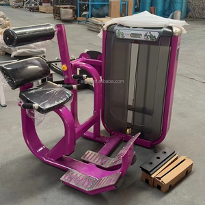 Gm53 trở lại mở rộng pin chọn t thanh hàng để sử dụng phòng tập thể dục ma trận thiết bị phòng tập thể dục trở lại mở rộng thiết bị tập thể dục thương mại - Product Image 1