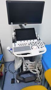 P40 PRO alat pemantauan dokter hewan, mesin Ultrasound warna dengan 4 Probe jantung luar biasa transvagina - Product Image 5