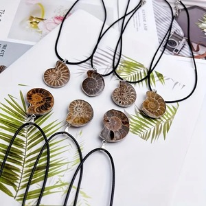 Conchiglia di pietra grezza minerale minerale esemplare naturale conchiglia ciondolo fossile collana per uomo <span class=keywords><strong>donna</strong></span> - Product Image 1