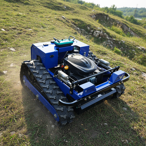 Cortadora de Césped Mini QL-600Y con Motor de Gasolina para Uso Doméstico - Product Image 3