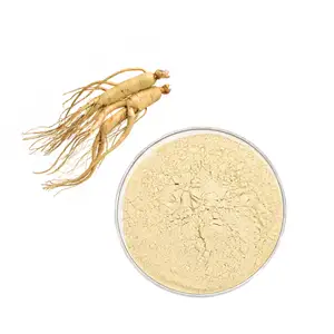 Hot Selling Healthcare Raw Material Ginseng Leaf Extract Ginseng Extract Powder