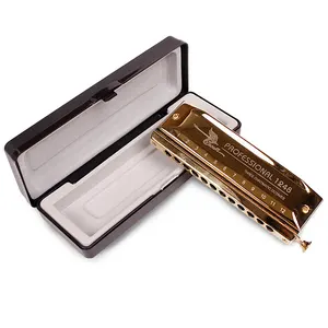 SW1248-4 12 Hole 48 Tone Thick Blow Mouth Practice Playing Gold Chromatic Harmonica