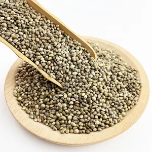 Wholesale Chinese Dried Bulk Hemp Seed With Export Hemp Seeds Medium Size