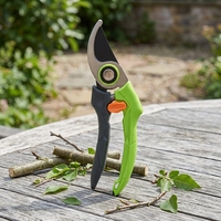 Cisailles de jardin Winslow & Ross avec lame SK5, sécateur à main pour arbres fruitiers et vignes, nouveau modèle