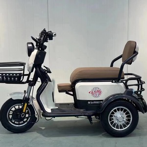 Tricycle électrique agréable, capacité de charge 200 kg, autonomie 50 km, moteur différentiel, carrosserie ouverte, pour usage familial - Product Image 4