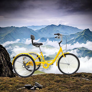 Bici da carico <span class=keywords><strong>a</strong></span> pedale <span class=keywords><strong>a</strong></span> 3 ruote <span class=keywords><strong>a</strong></span> 7 marce diretta in fabbrica per adulti - Product Image 3