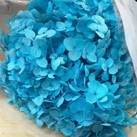 Dekorasi Rumah Grosir Bunga Hydrangea Kering yang Diawetkan untuk Acara Wisuda Natal Tahun Baru Imlek